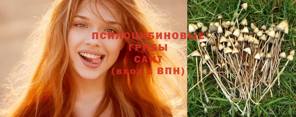 дурь Алзамай