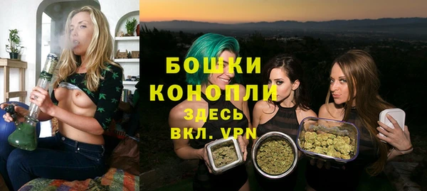 мяу мяу мука Пестово